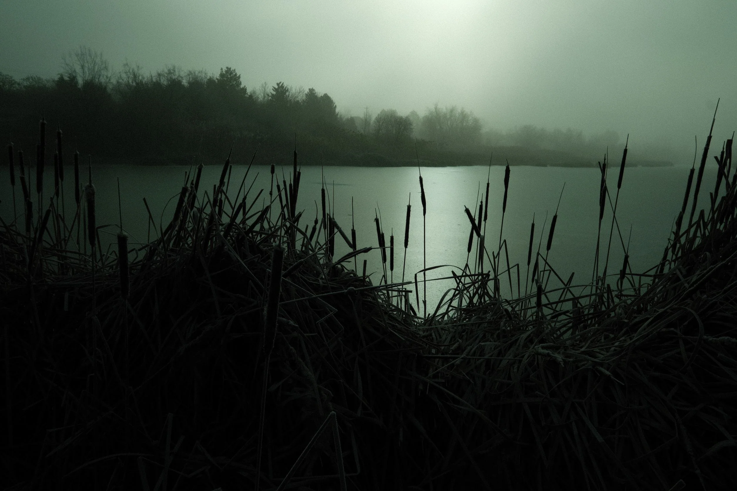 Moody Pond - Utah Lake