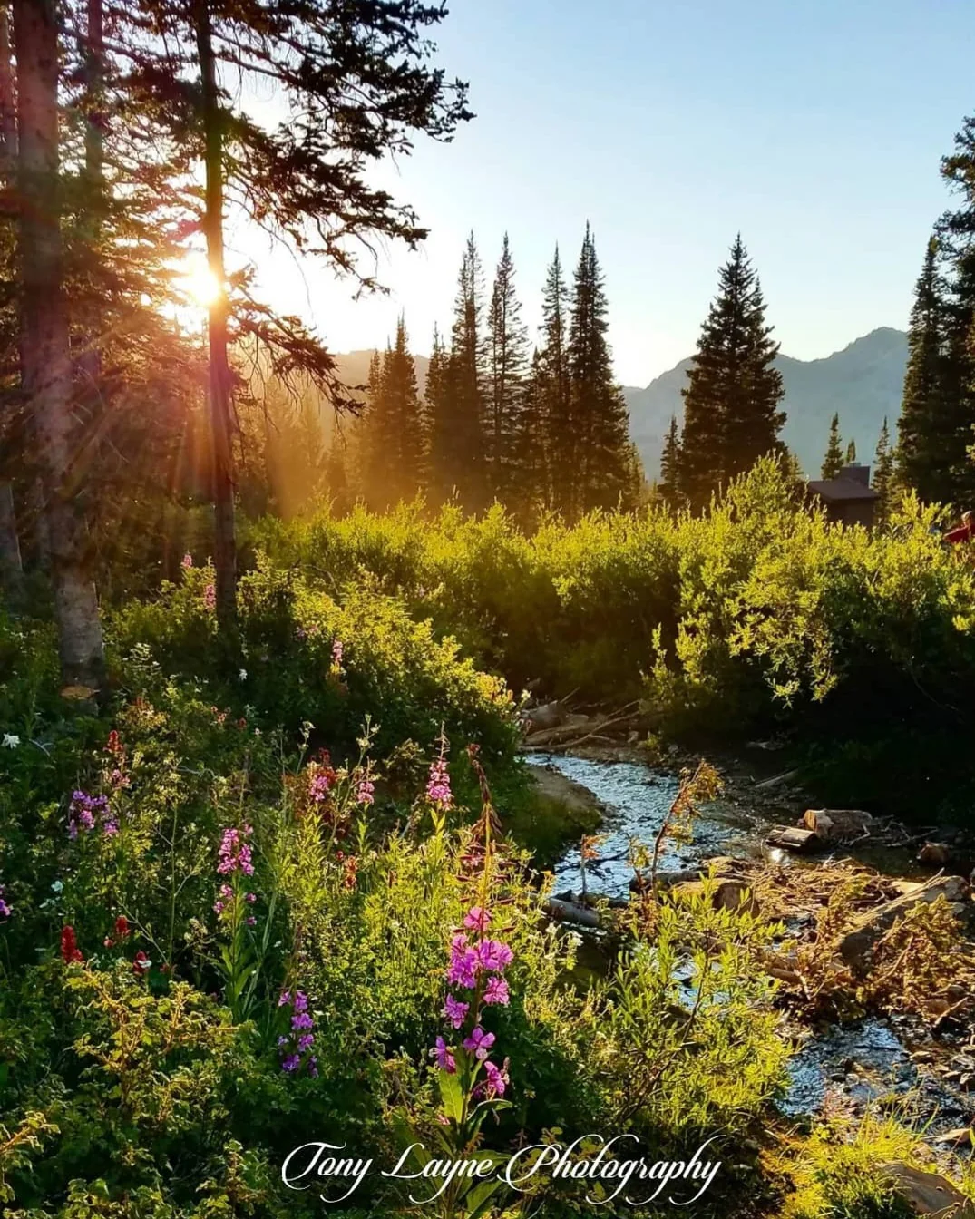 Mountain Serenity - Utah Lake