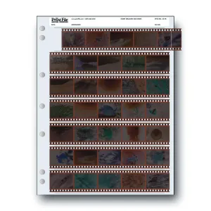 Print File 35-7B Archival Storage Pages for 35mm Negatives (25 Pack)