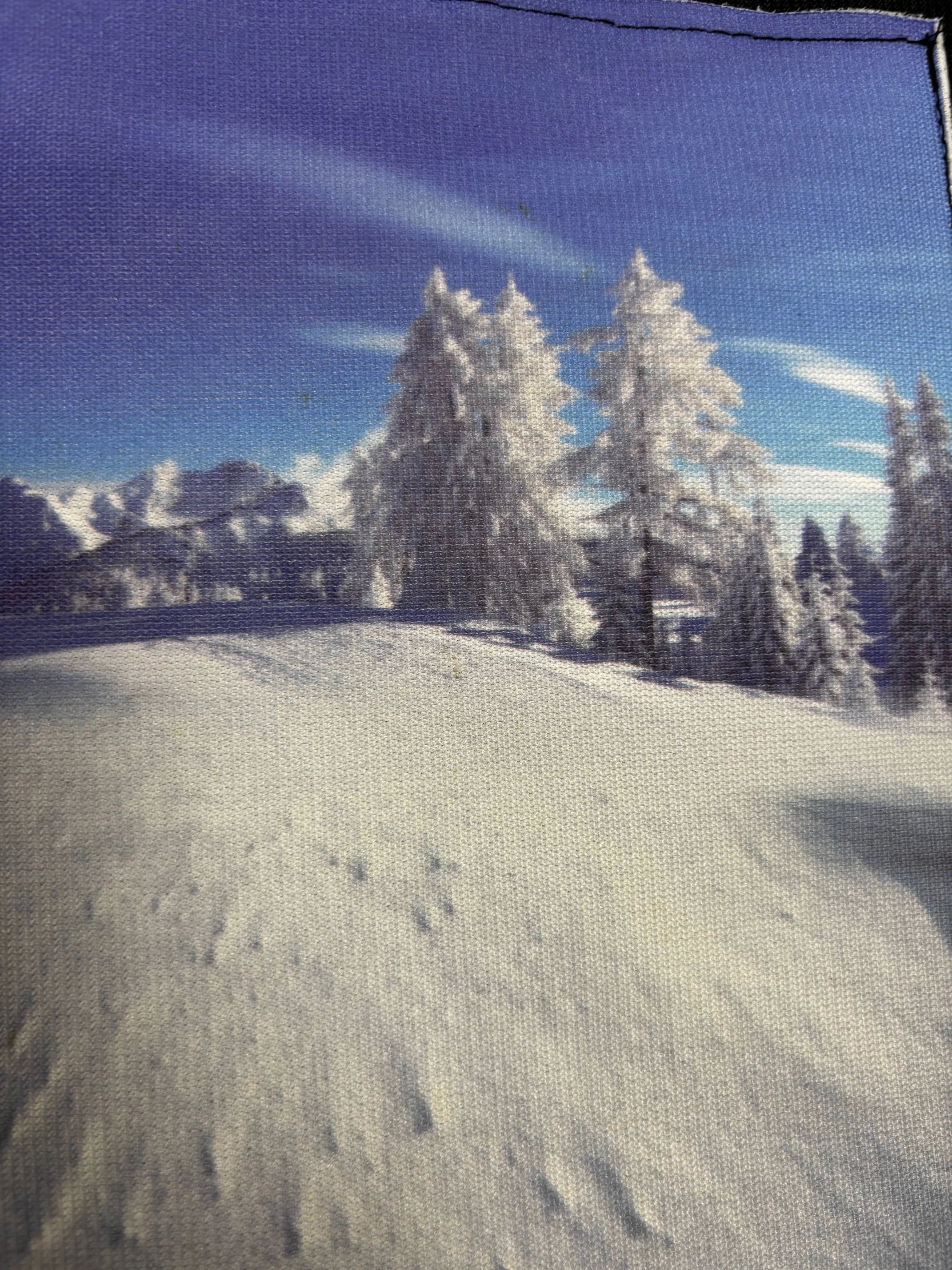 PRO BACKDROP 8x10 - SNOW SCAPE (6924) D